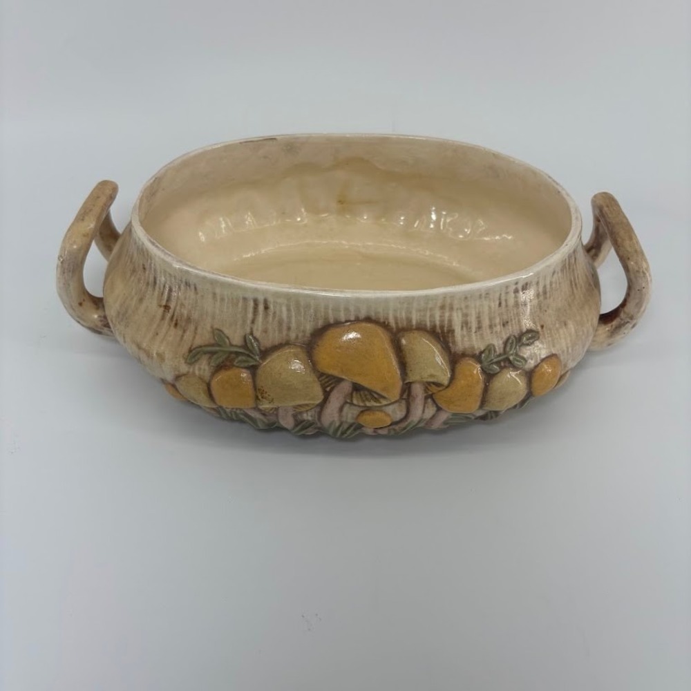 Vtg 1970s Arnel's Mushroom Soup Tureen/ Dish Retro Cottagecore MCM Decor